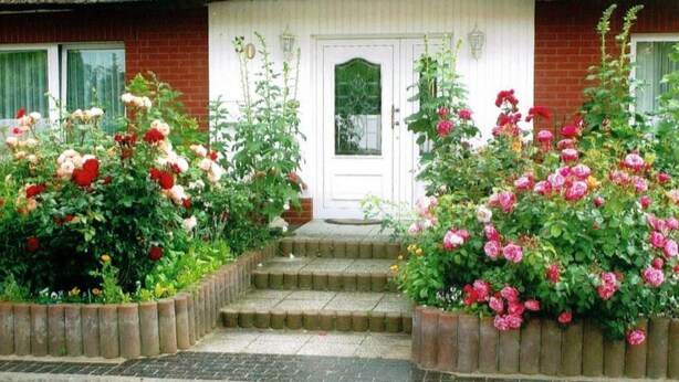 A house with a white front door, a brick facade, and a garden with rose bushes.