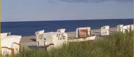 Beach chairs with numbers on them, a sandy beach, and the ocean in the background.
