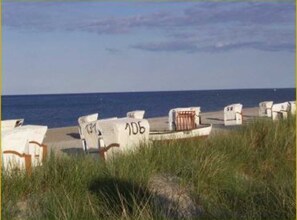 Des chaises de plage numérotées, une plage de sable et l’océan en arrière-plan.