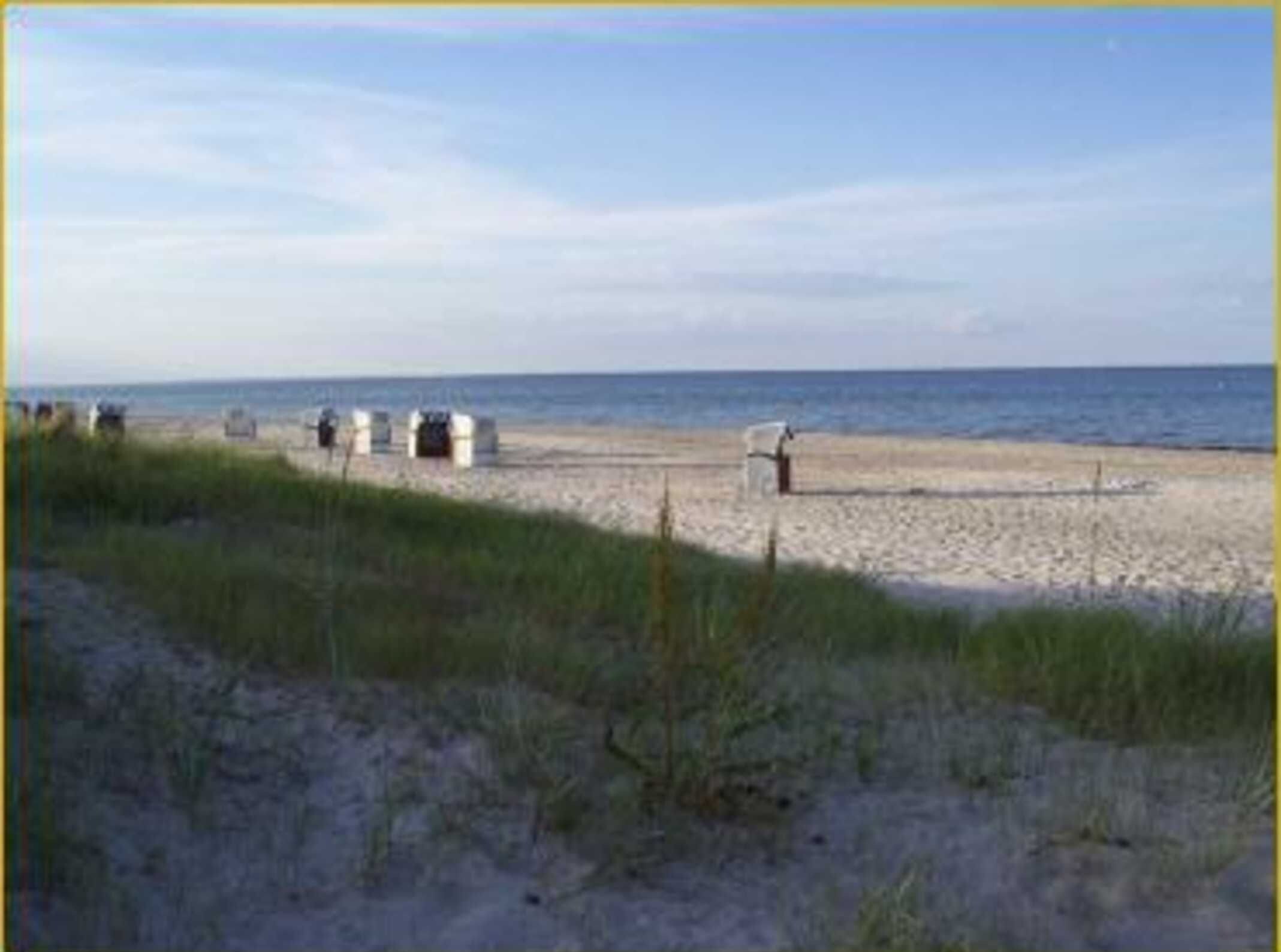Une plage avec du sable, de l’herbe et un ciel dégagé.