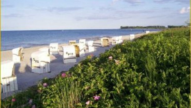 A beachside hotel with rows of white rooms along the shore, a grassy foreground, and a clear view of the sea. - Vacation apartment Meer, Germany (Hasselberg)