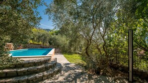 Una piscina con escalones de piedra que la bordean, rodeada de vegetación exuberante y árboles.