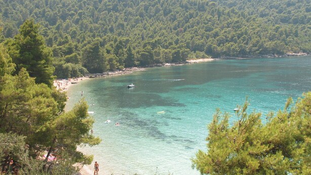 Une zone côtière avec une plage, des eaux turquoise et limpides, et une forêt dense en arrière-plan.