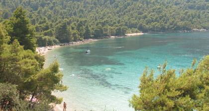 Stunning apartment in Ston with WiFi