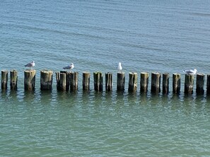 Imagen sin descripción, 5 de 42, botón