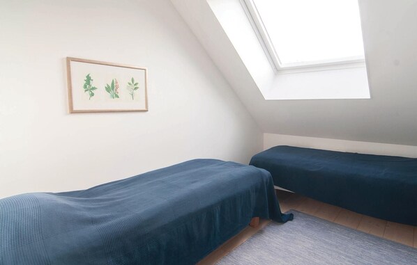 A small, single-room with two single beds, a skylight, and a framed botanical print on the wall.