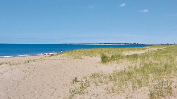 Een zandstrand met duinen en een helderblauwe lucht.