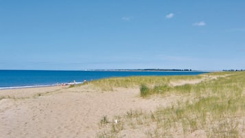 Una spiaggia nelle vicinanze