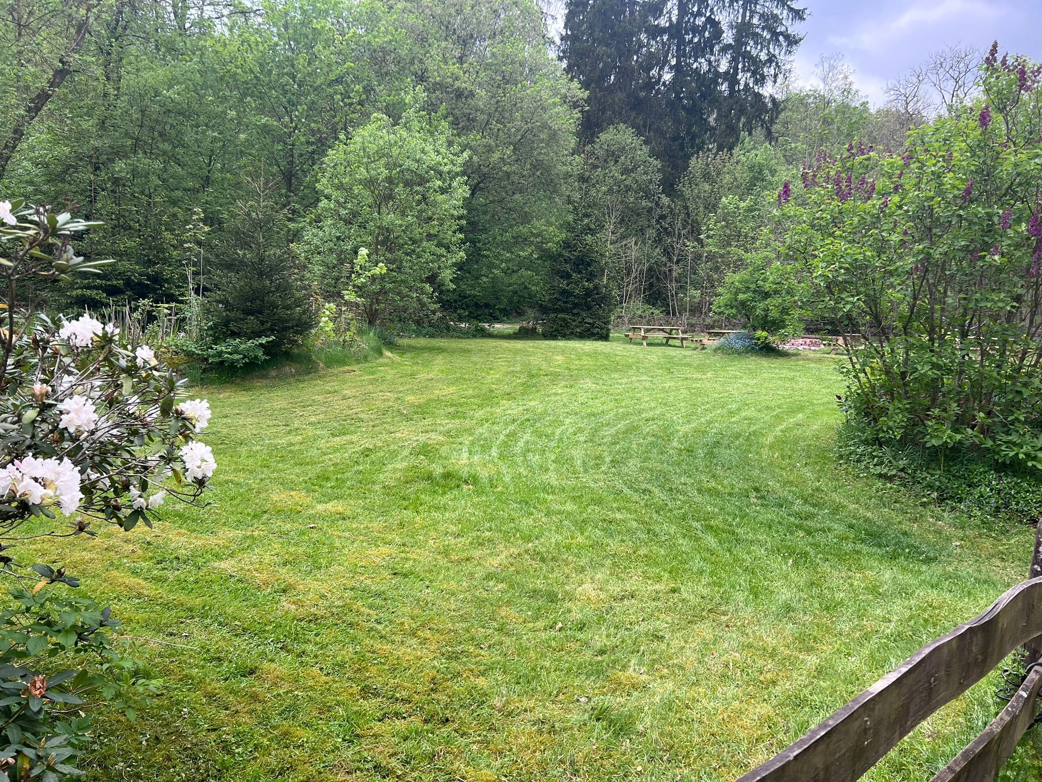 A well-maintained grassy yard with a wooden fence, surrounded by dense trees and shrubs.