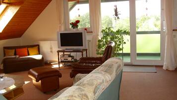 Fernseher