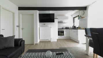 Fernseher, Kamin