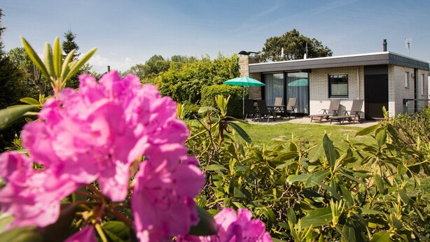 Una casa moderna con un patio, rodeada de exuberante follaje y flores vibrantes.