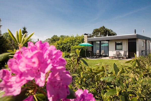 Imagen sin descripción, 1 de 10, botón