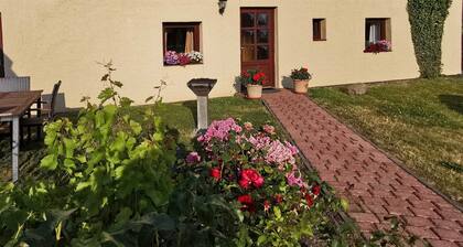 Ferienhaus Beutel WE1468 - Ferienhaus