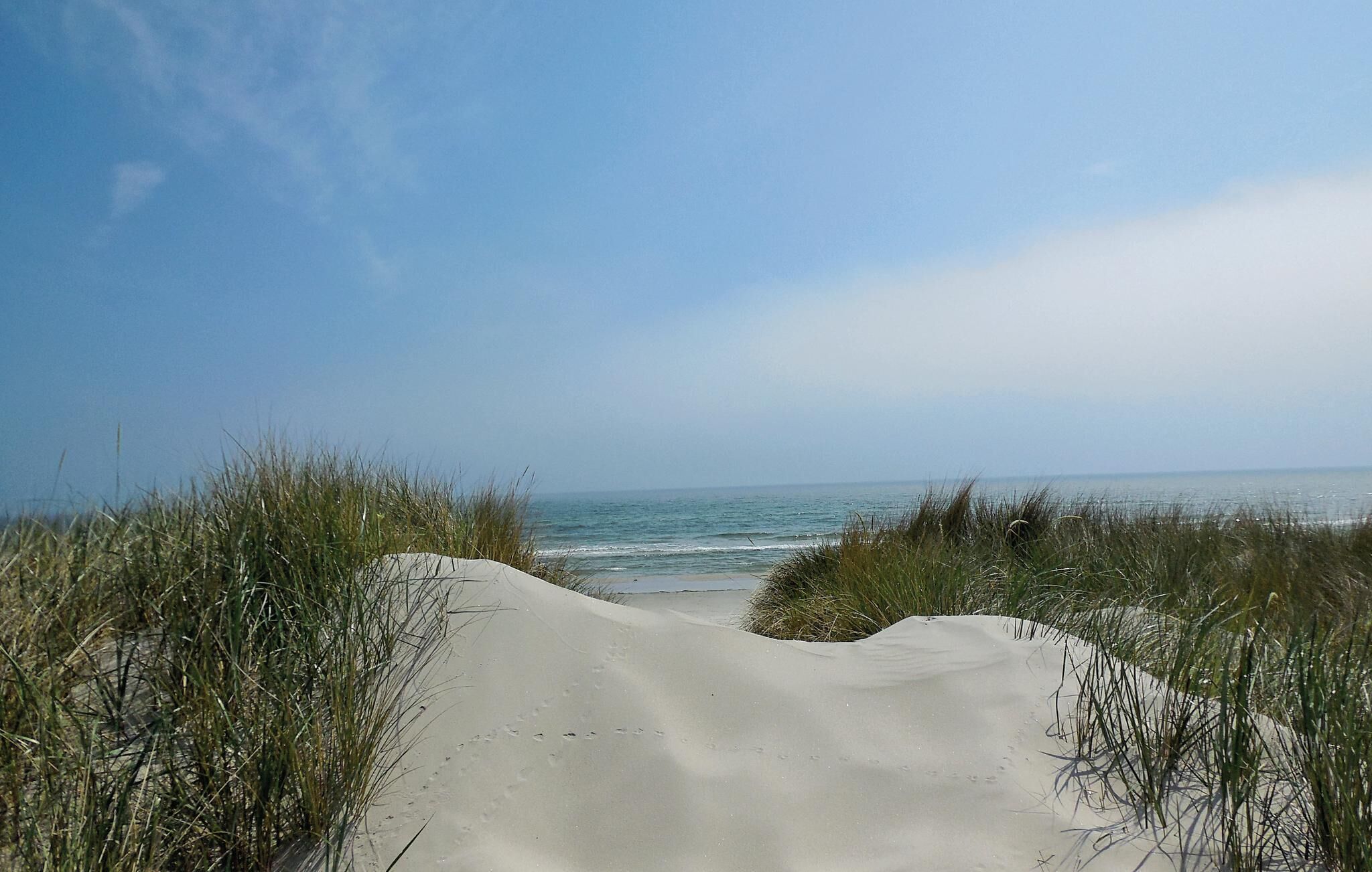 ビーチの近く、釣り