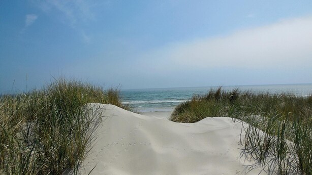 Un sentier de sable qui longe la plage et mène à l’océan, bordé d’herbes hautes.
