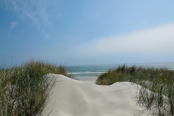 In Strandnähe, Angeln