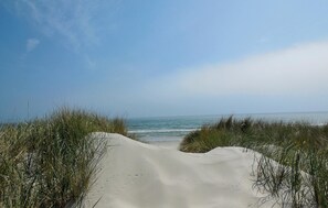 A sandy beach path leading to the ocean, surrounded by tall grass. - Gorgeous home in Borrby with WiFi (Borrby)