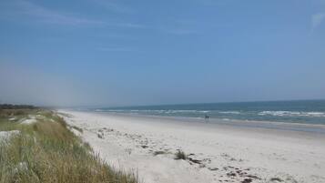 Tæt på stranden, fiskeri