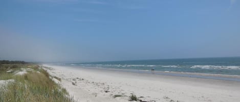 Beach nearby, fishing