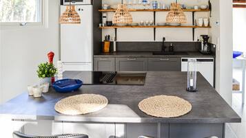 Frigorífico, placa de cocina, lavavajillas y cafetera o tetera