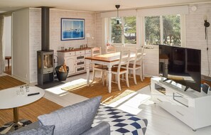 壁炉、DVD 播放器