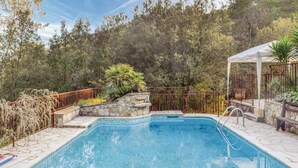 A swimming pool with a stone deck, surrounded by a metal fence and trees. - Awesome home in La Roquette sur Siagne (La Roquette sur Siagne)