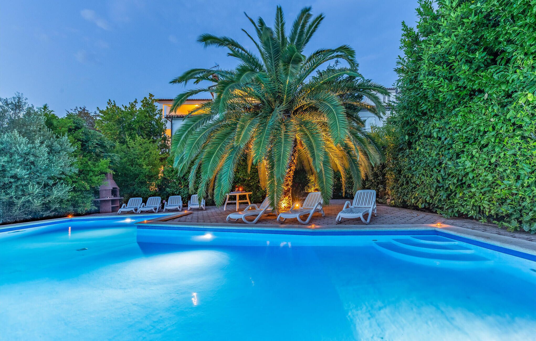 A swimming pool with lounge chairs and a palm tree.