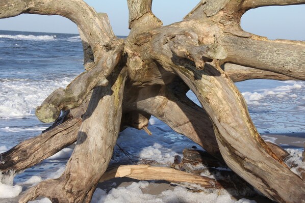 Unclassified image, 1 of 36, button