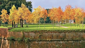 Un parc doté d’un mur en briques et d’une étendue d’eau paisible dans laquelle se reflètent les arbres.