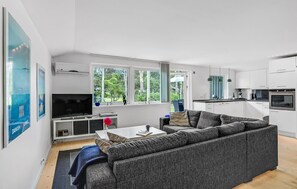 TV, fireplace, DVD player