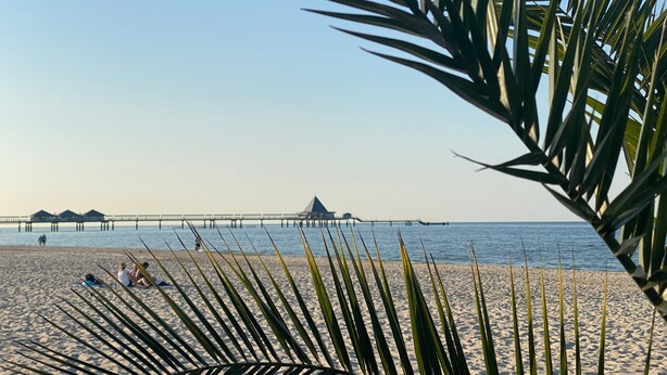 Ein Strand mit Palmen, einem Steg und entspannten Menschen.