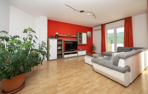 Télévision, cheminée, lecteur de DVD, table de tennis de table