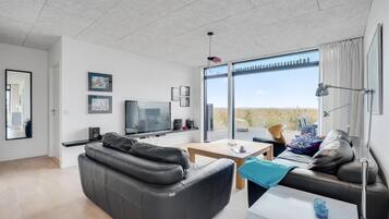Tv, dvd-afspiller