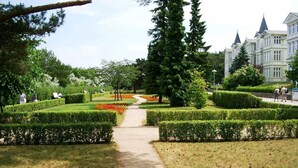 A formal garden with a central pathway, neatly trimmed hedges, and a large tree. - Apartment Dompfaff - apartment bullfinch (Zinnowitz)