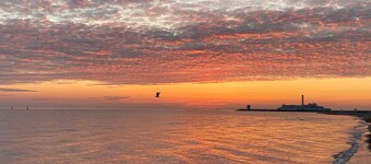 Vacation room 5 - Holiday apartment in Alexandrinenstraße