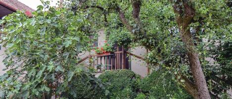 المنطقة المحيطة بالمنشأة