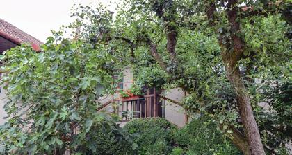 GroĂe Ferienwohnung Sierndorf