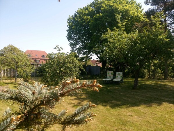 Unclassified image, 1 of 14, button