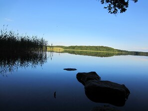 Unclassified image, 3 of 12, button