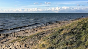 En strand med et træhegn og græsdyner.