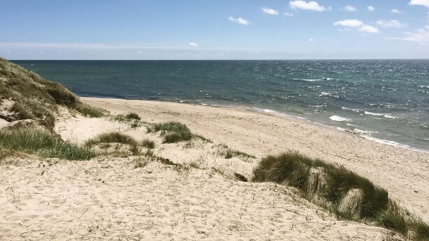 Ein sandiger Strand mit Dünen und dem Meer.