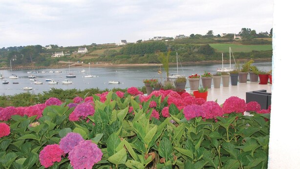 Une vue sur le front de mer, avec des bateaux, de la verdure et des plantes en pot.