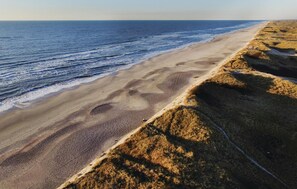 Playa en los alrededores y pesca 