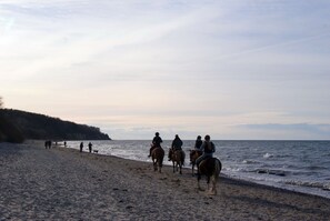 Imagen sin descripción, 5 de 24, botón