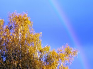 Imagen sin descripción, 3 de 24, botón