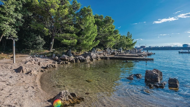 A clear waterfront with rocky shores, trees, and a distant cityscape.