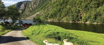 4 bedroom gorgeous home in Erfjord