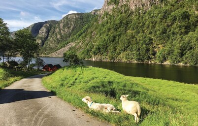 4 bedroom gorgeous home in Erfjord