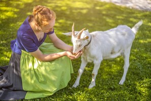 Billede uden beskrivelse, 4 af 17, knap